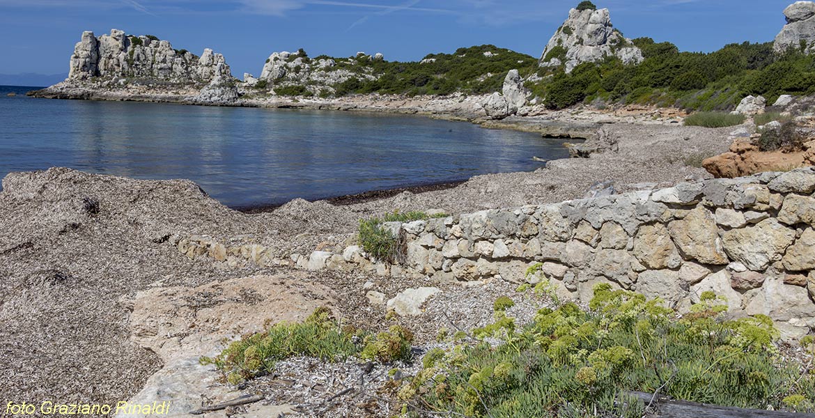 Pianosa, Elba, Italy, Sea, crystaline water, beach, nature, holiday, summer holiday, family holiday, tourism