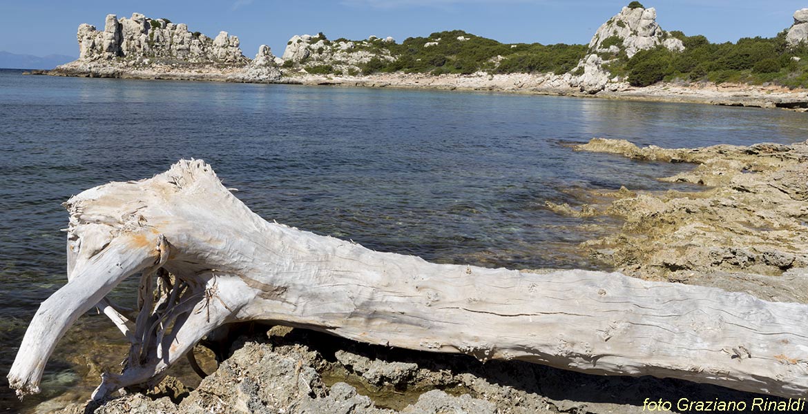 Pianosa, Elba, Italy, Sea, crystaline water, beach, nature, holiday, summer holiday, family holiday, tourism