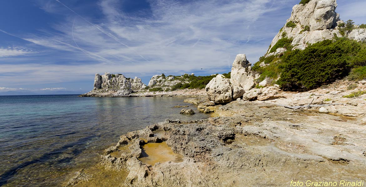 Pianosa, Elba, Italy, Sea, crystaline water, beach, nature, holiday, summer holiday, family holiday, tourism