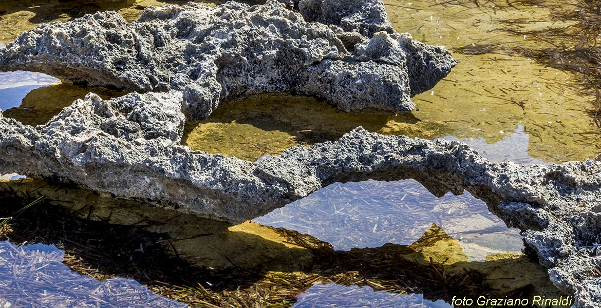 Pianosa, Elba, Italy, Sea, crystaline water, beach, nature, holiday, summer holiday, family holiday, tourism