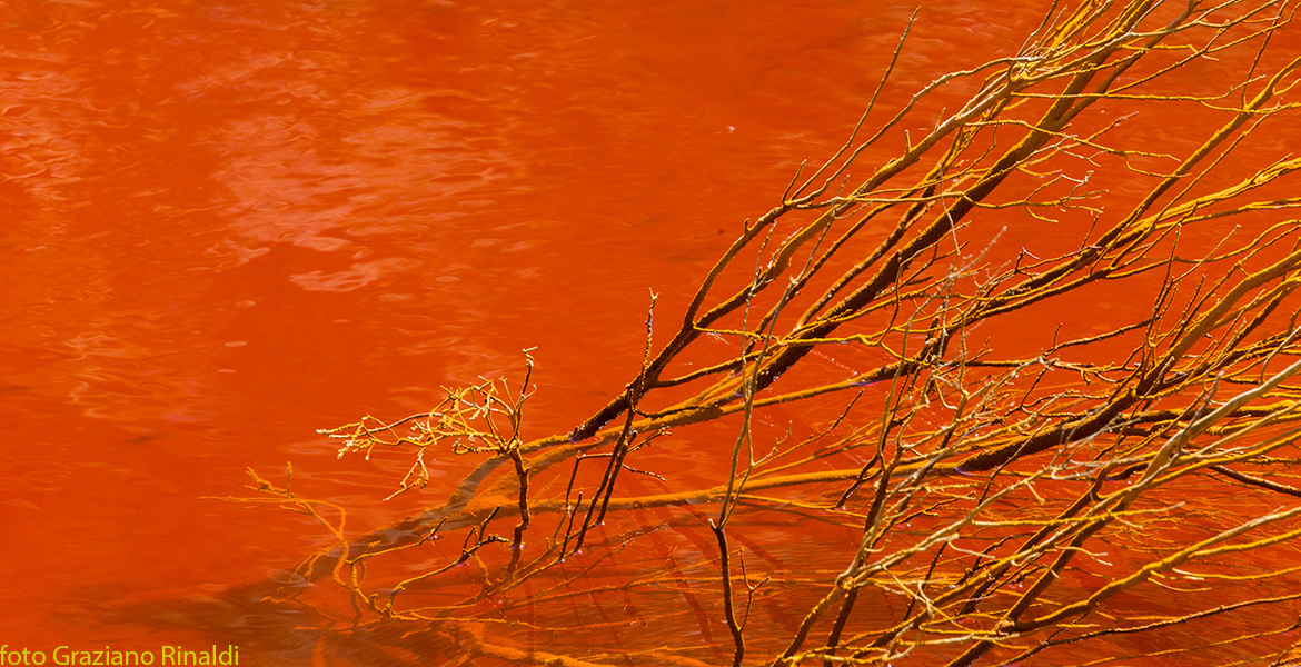 Le Conche, Elba Island, Rio Marina, Mineral Park, Italy