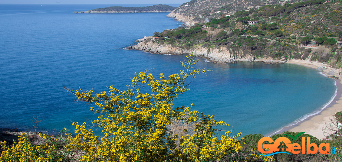 elba island, sea, flowers, nature, hiking, discovering