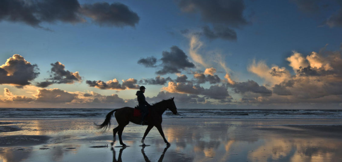 elbaisland, sea, spring, may, holiday, sky, horse, landscape